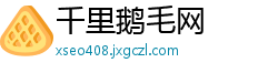 千里鹅毛网